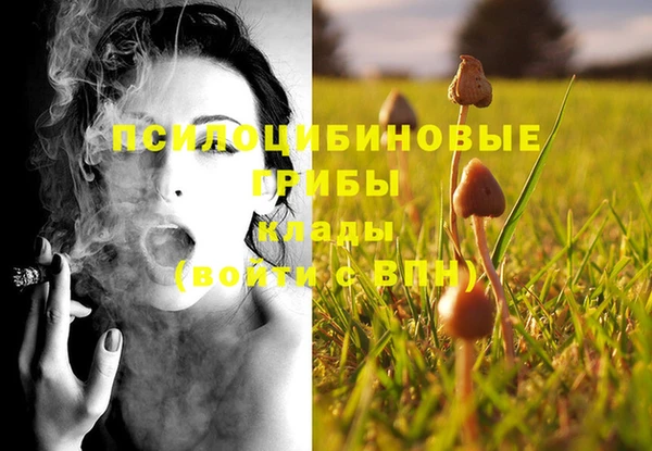 крисы Армянск