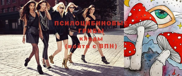 МДПВ Алексеевка