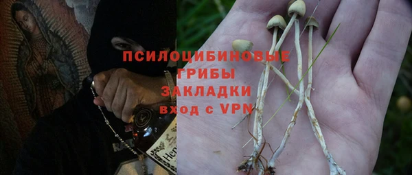 таблы Алзамай